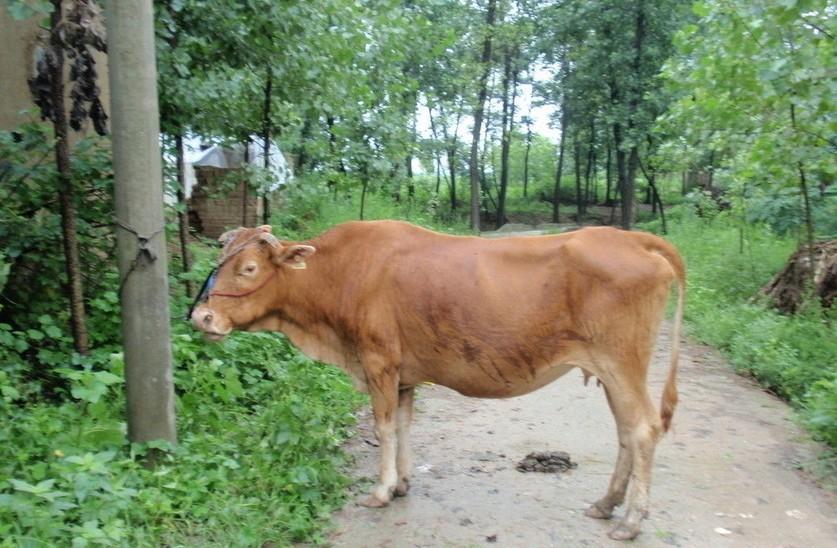 详细阅读:余姚最新求一个套医保卡的黄牛是真的吗方法分析(最方便真实的余姚求一个套医保卡的黄牛是真的吗还是假的方法) 余姚最新求一个套医保卡的黄牛是真的吗方法分析(最方便真实的余姚求一个套医保卡的黄牛是真的吗还是假的方法)